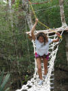 zip lines atvs snorkeling cenotes all in one great tour playa del carmen