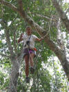 zip lines atvs snorkeling cenotes all in one great tour playa del carmen