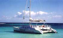 take a half day trip on this catamaran in puerto aventuras and playa del carmen