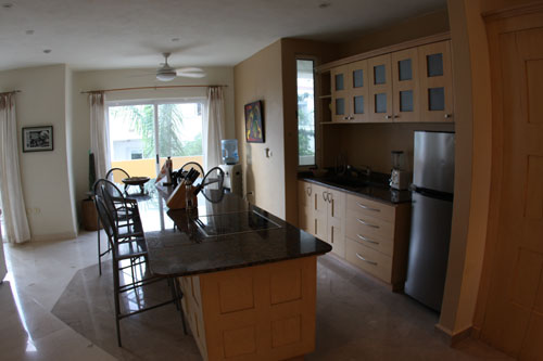 kitchen area of condo ali