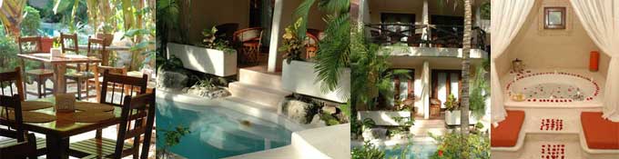 Hotel La Tortuga Playa Del Carmen Riviera Maya