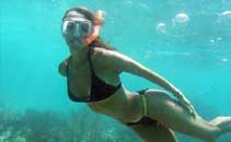 snorkeling riviera maya ocean and cenotes